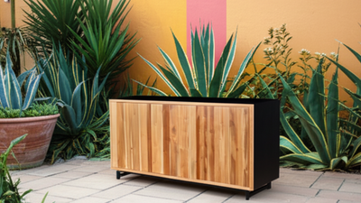 Nayarit Server